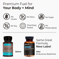 Endur Dihydroberberine SR label design highlighting gluten-free vegan formula