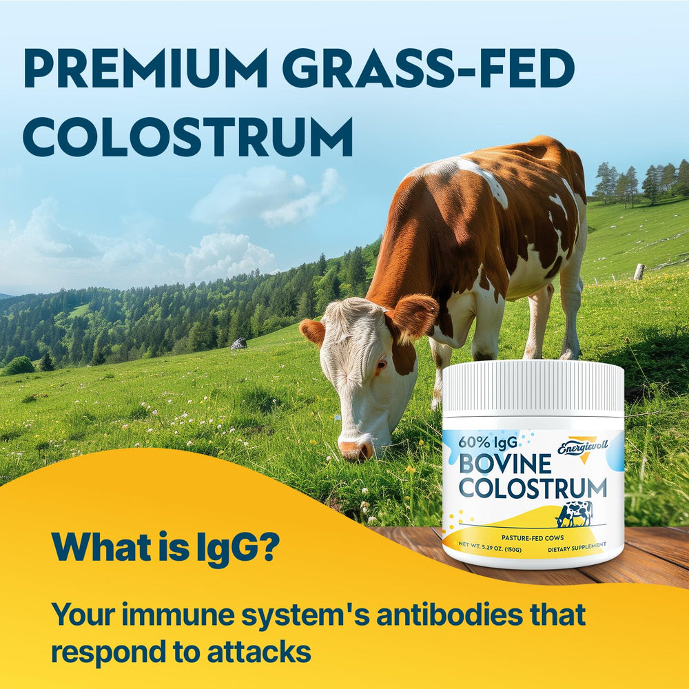 Energievoll Bovine Colostrum powder close-up showing smooth texture for blending