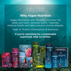 ENERGYBITS RECOVERYbits tablet closeup highlighting chlorophyll-rich nutrition.