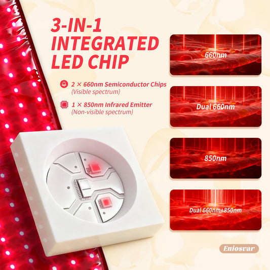 Eniosvar Red Light Therapy Belt worn on the body for hands-free, cordless therapy.