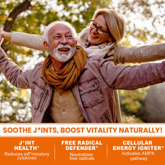 EnvyCure black pepper extract softgels for absorption.