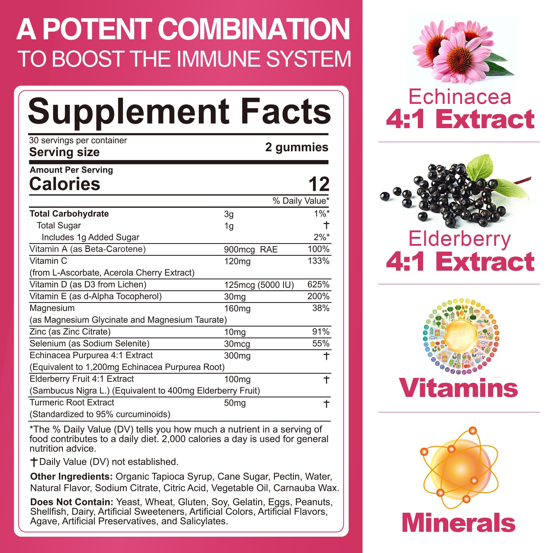 EnvyCure elderberry and echinacea gummies jar highlighting respiratory support benefits