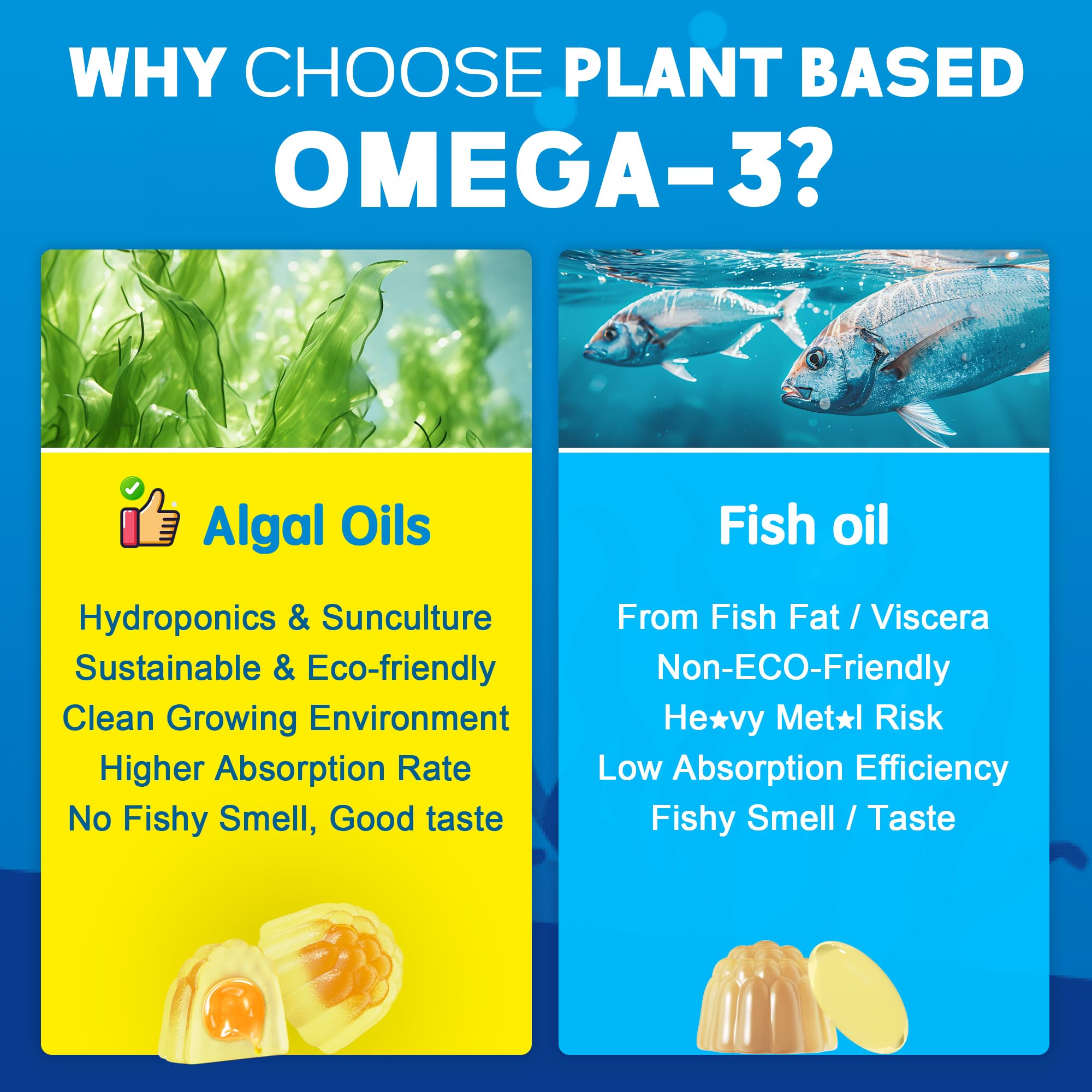 EnvyCure omega-3 gummies close-up of liposomal coating showing improved absorption