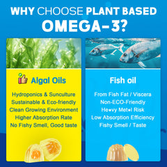 EnvyCure vegan omega-3 gummies label emphasizes sugar-free formula
