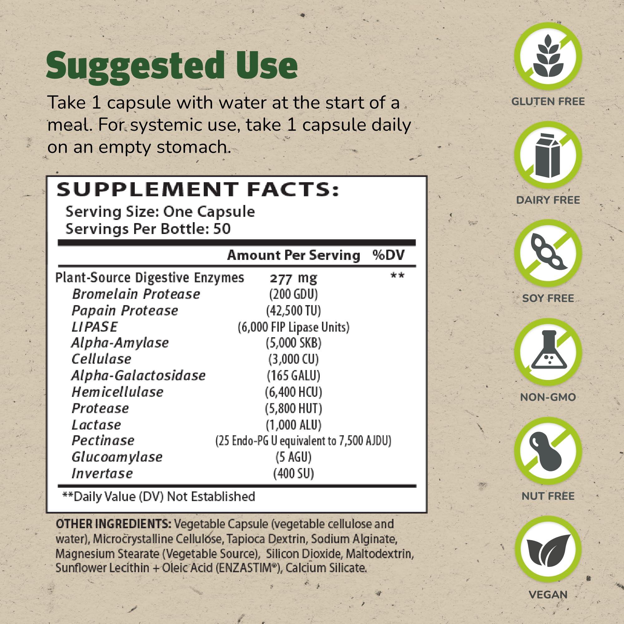 Enzalase pack-of-3 bottles shows convenient probiotic-compatible enzymes for daily digestion.