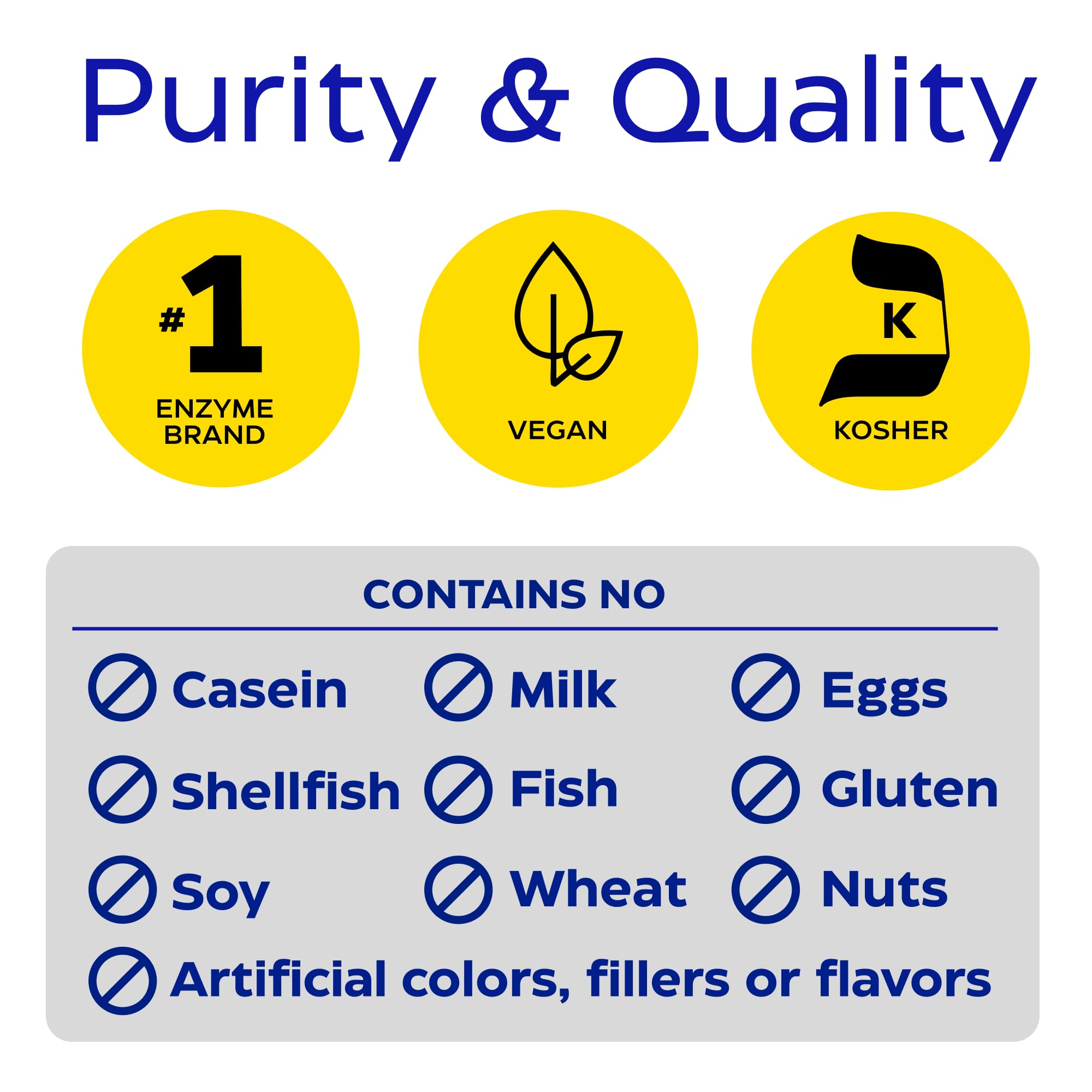 Enzymedica Lacto dairy digestion graphic explains lactose, casein and fat digestion.