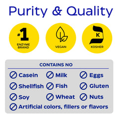 Enzymedica Lacto dairy digestion graphic explains lactose, casein and fat digestion.