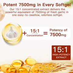 EOQIFJM two-year aged garlic highlights SAC-rich potency
