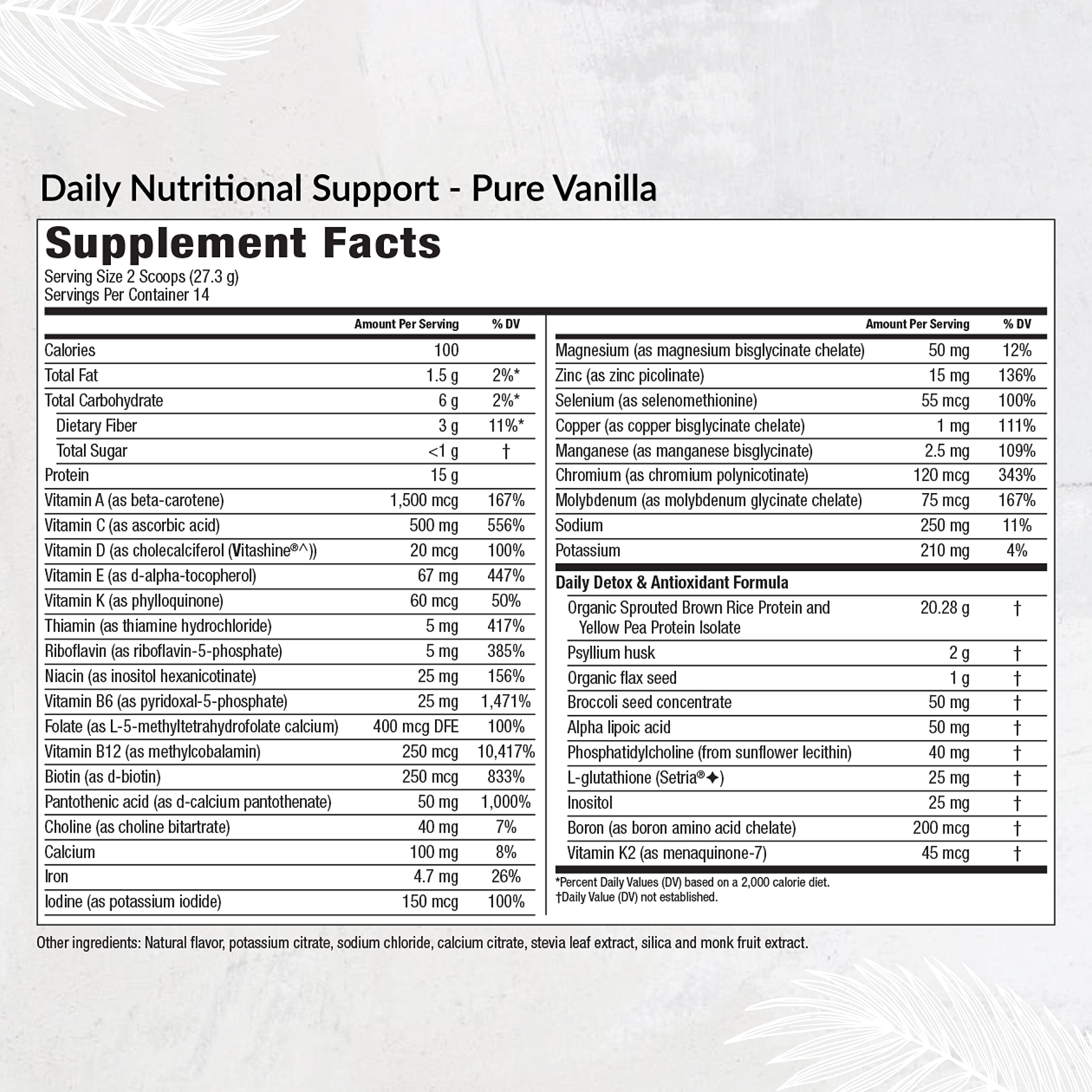Equilife Daily Nutritional Support powder scoop ready to blend into a plant-based meal.