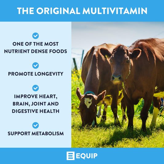 Equip Beef Liver bottle front shot emphasizing desiccated liver nutrition benefits.
