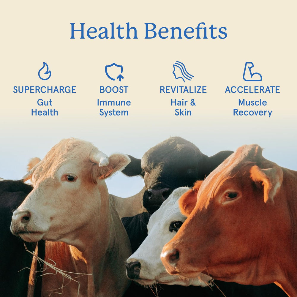 Equip Foods Core Bovine Colostrum Gummies texture close-up conveys chewy, enjoyable consistency.