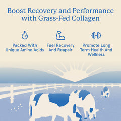Equip Grass-Fed Collagen Vanilla powder swirling in a glass.