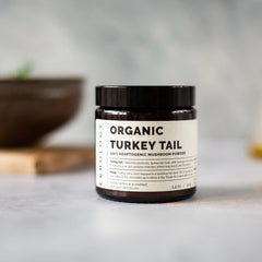 Measuring scoop with Erbology Turkey Tail powder for precise servings