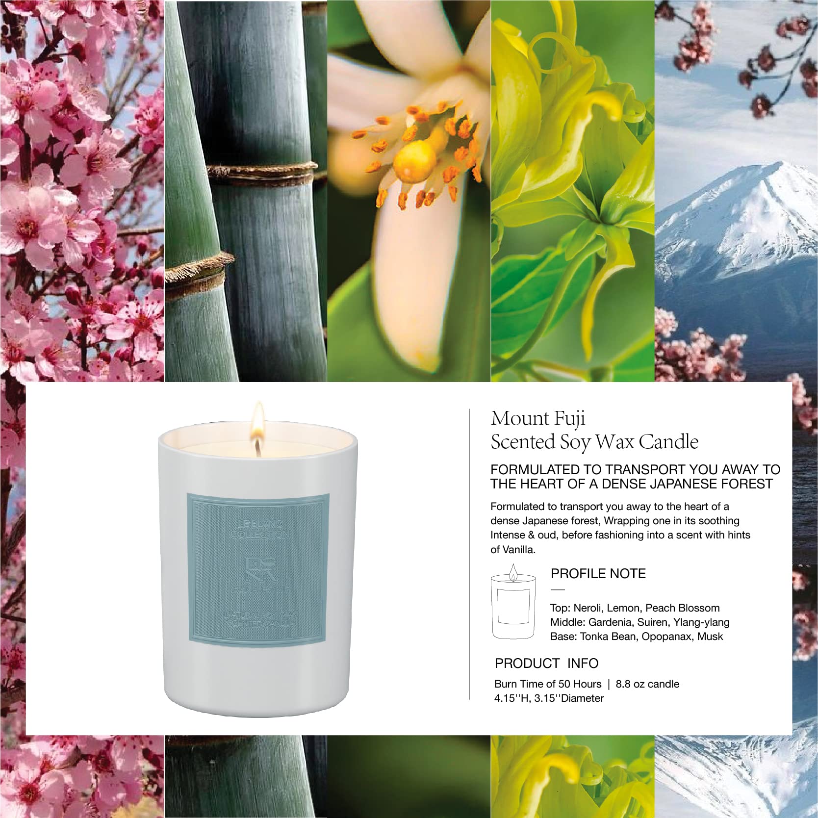ESNA HOME essential oils blend image highlighting mood-enhancing aroma for aromatherapy moments.