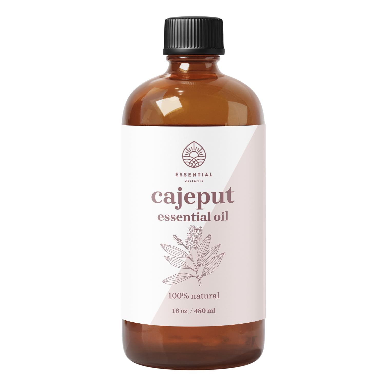 Essential Delights Cajeput essential oil bottle showing pure steam-distilled formula for aromatherapy.