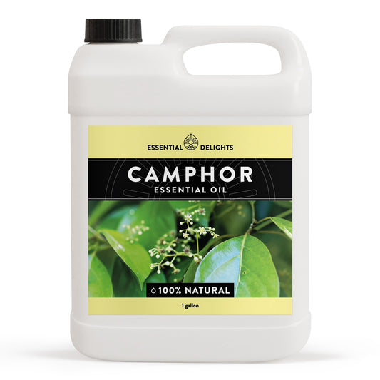 Essential Delights camphor oil bottle showing premium undiluted oil for aromatherapy.