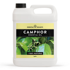 Essential Delights camphor oil bottle showing premium undiluted oil for aromatherapy.
