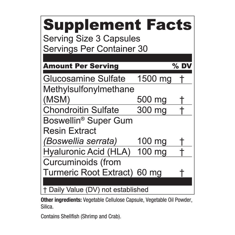 Essential Elements in motion shows how the supplement fits daily routines.
