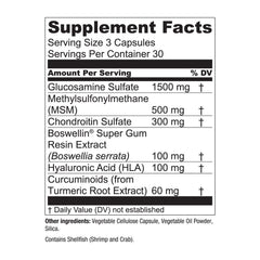 Essential Elements in motion shows how the supplement fits daily routines.