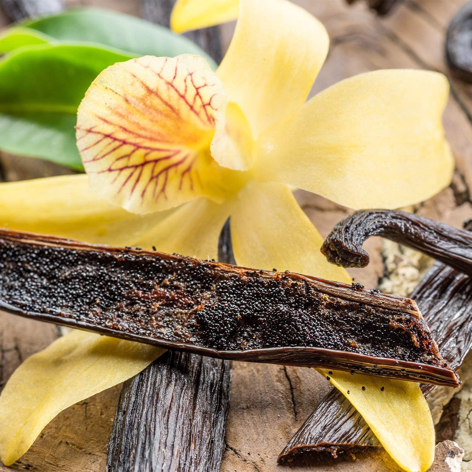 Close-up of Essential Elements plant-based protein blend ingredients like sacha inchi and yellow pea.