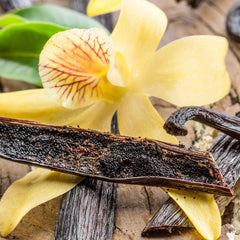 Close-up of Essential Elements plant-based protein blend ingredients like sacha inchi and yellow pea.