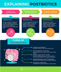 Essential Formulas Dr. Ohhira’s Probiotics professional bottle side highlights probiotic strains for gut balance