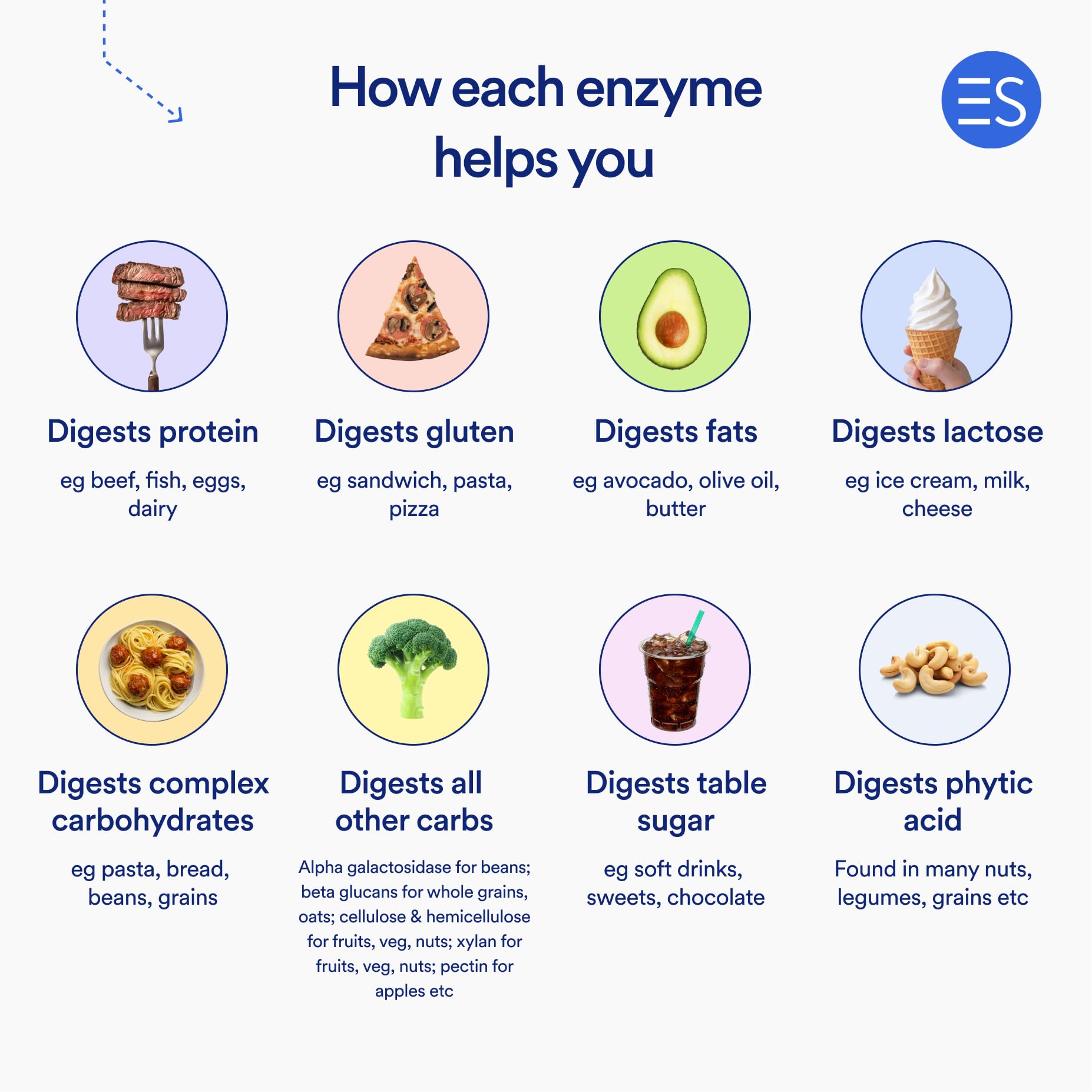 Essential Stacks digestive enzyme daily-use set ready for meals