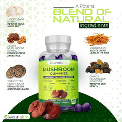 Essentialife Lions Mane Gummies close-up may support focus throughout the day.