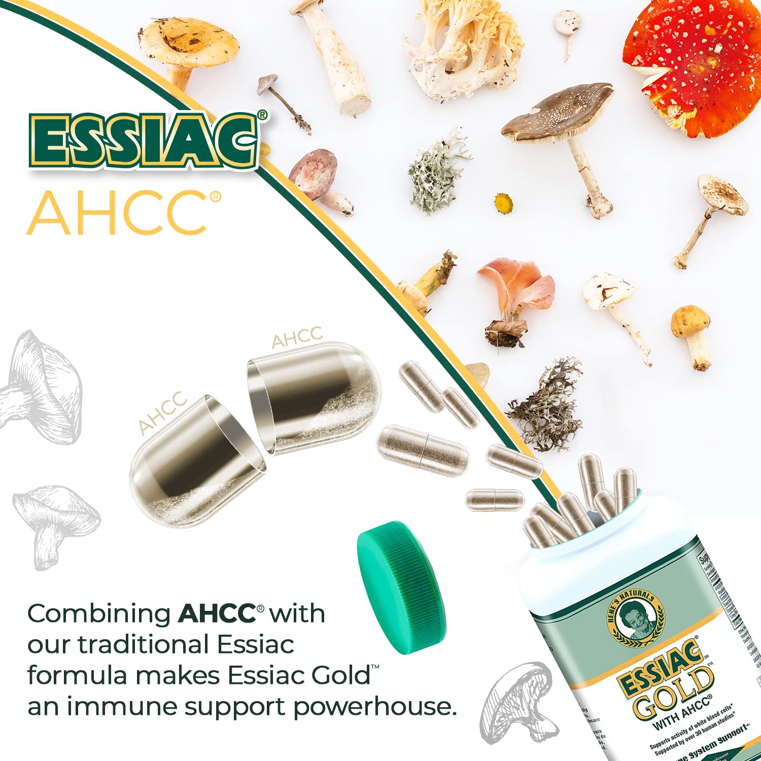 Essiac Gold eco-packaging emphasizing sustainable sourcing.