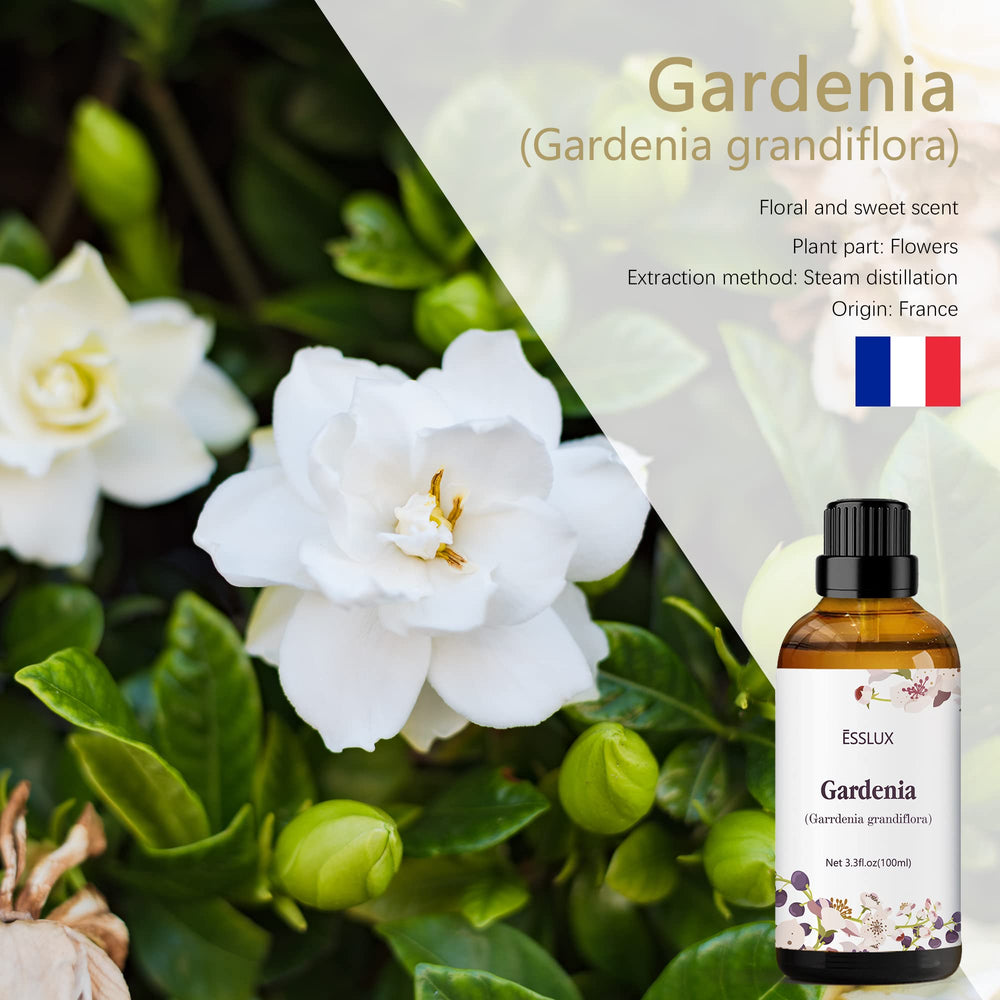 Diffuser releasing Gardenia aroma with ESSLUX essential oil
