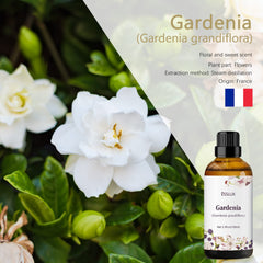Diffuser releasing Gardenia aroma with ESSLUX essential oil