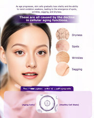 ESTHELIV capsules close-up highlighting PQQ for potential skin vitality.