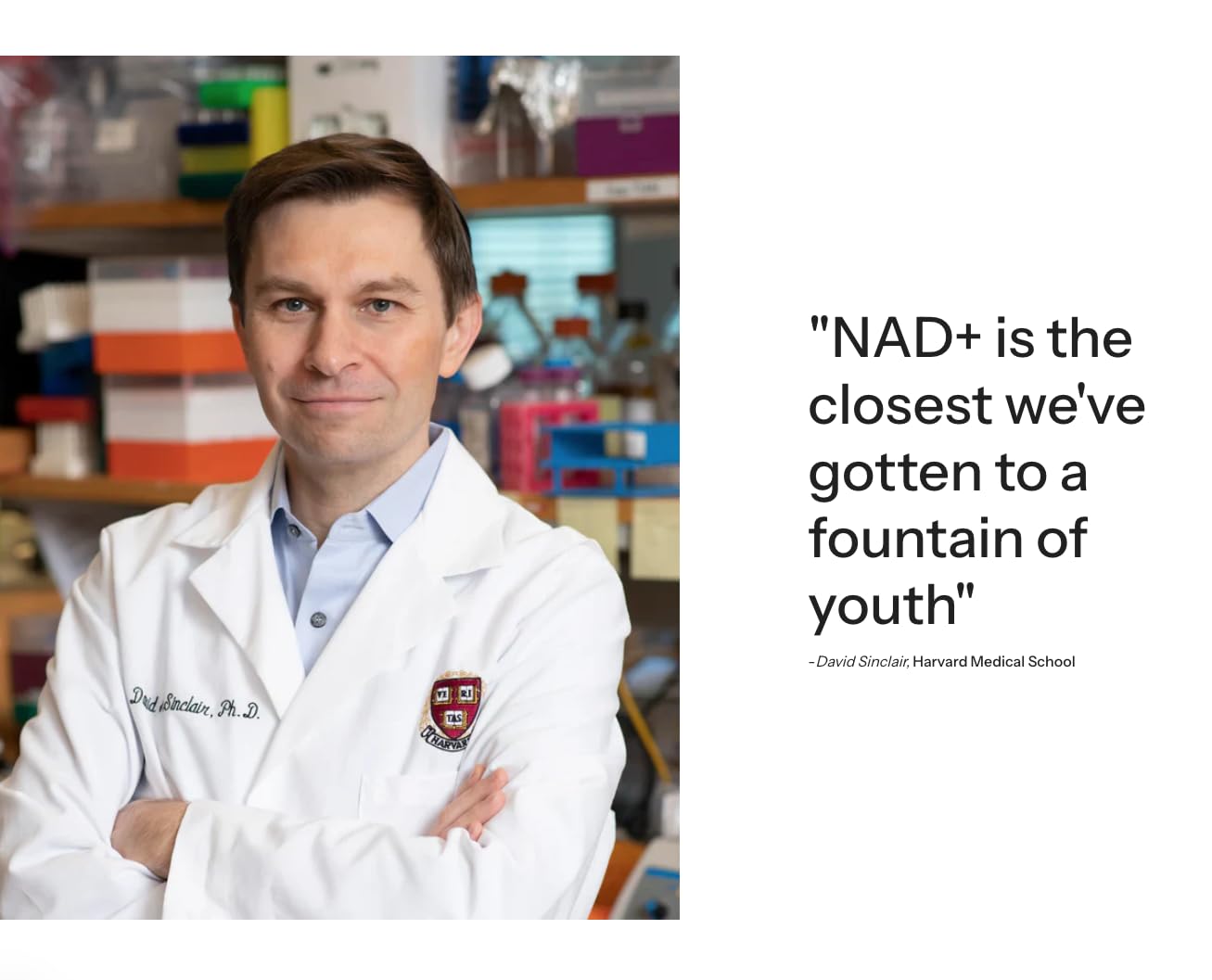Ethlete NAD+ PQQ and TMG combination signals aging-support formulation.