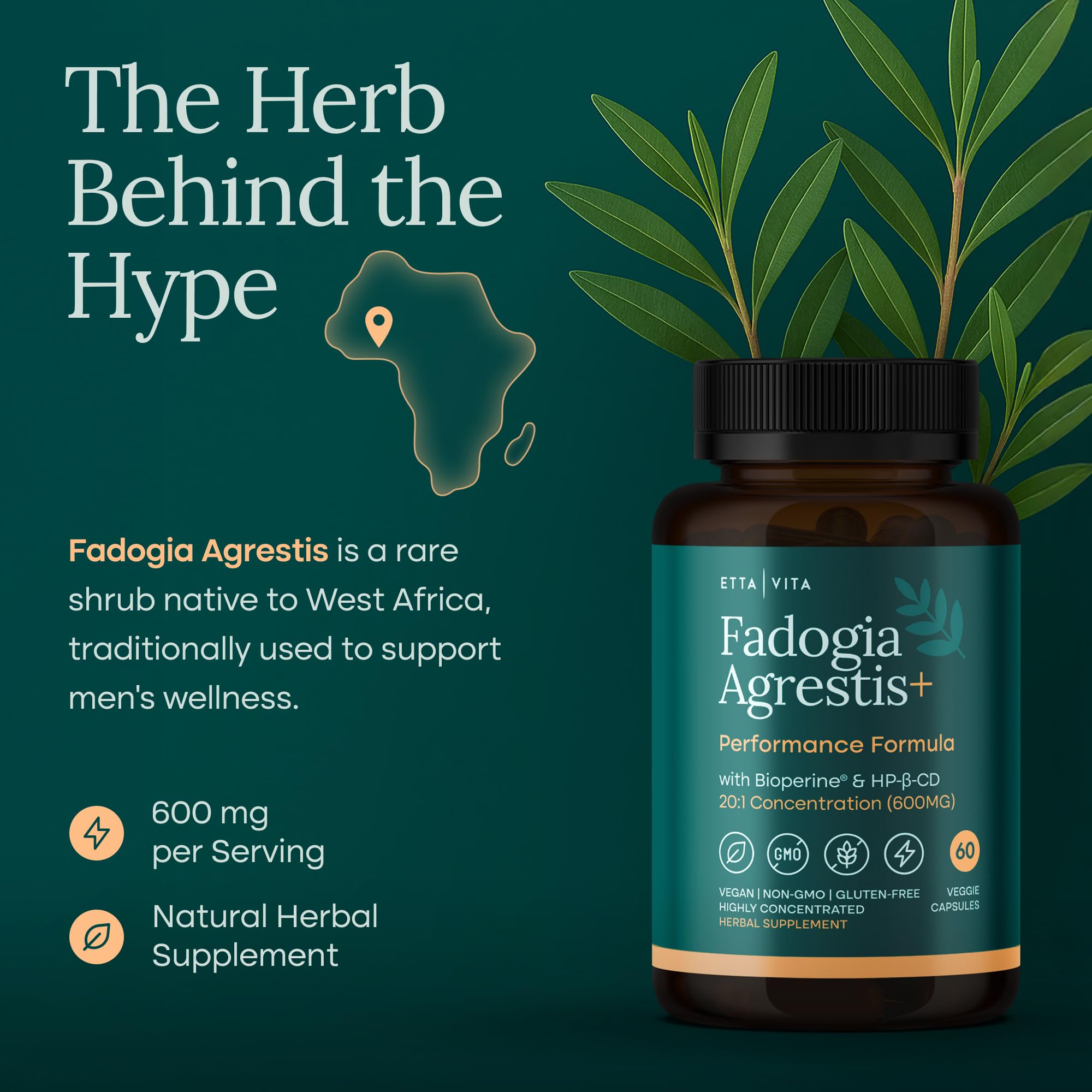 Etta Vita Fadogia Agrestis capsules close-up; suggests endurance and vitality.