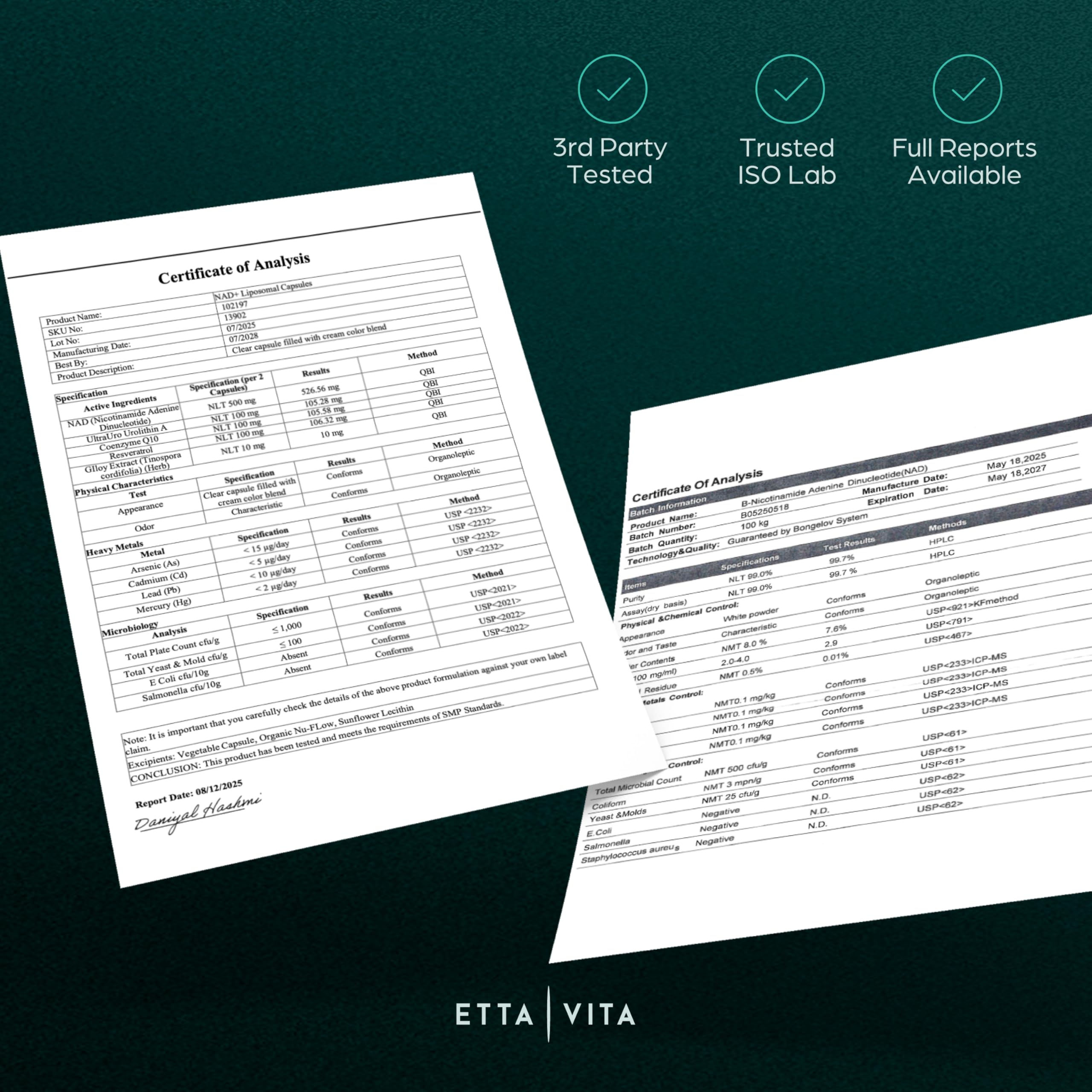 Etta Vita Nad box on counter suggests daily energy routine.