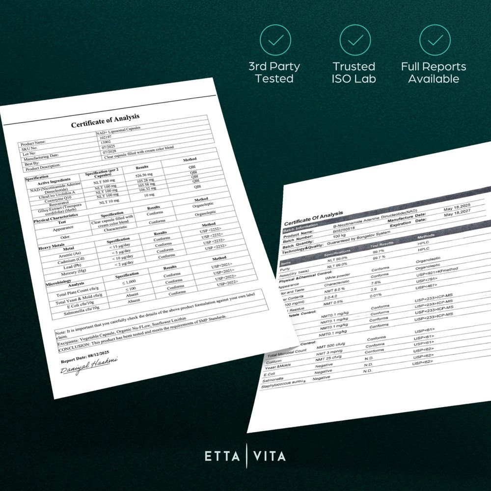 Etta Vita Nad box on counter suggests daily energy routine.