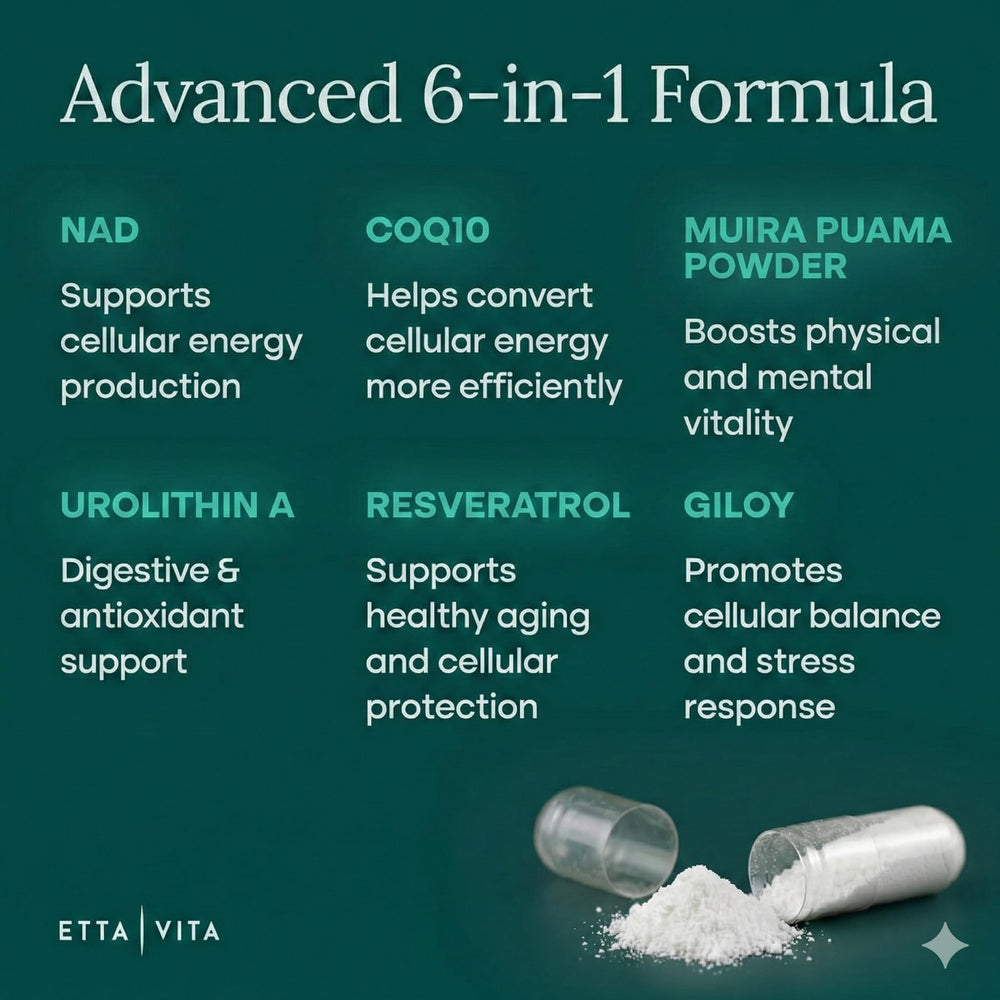 Etta Vita liposomal delivery bubbles close-up for higher absorption.