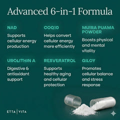 Etta Vita liposomal delivery bubbles close-up for higher absorption.