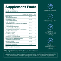Etta Vita GLP-1 Probiotic ingredients graphic shows Akkermansia and polyphenols
