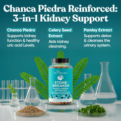 Eu Natural Chanca Piedra bottle pour demonstrating straightforward daily capsule intake.