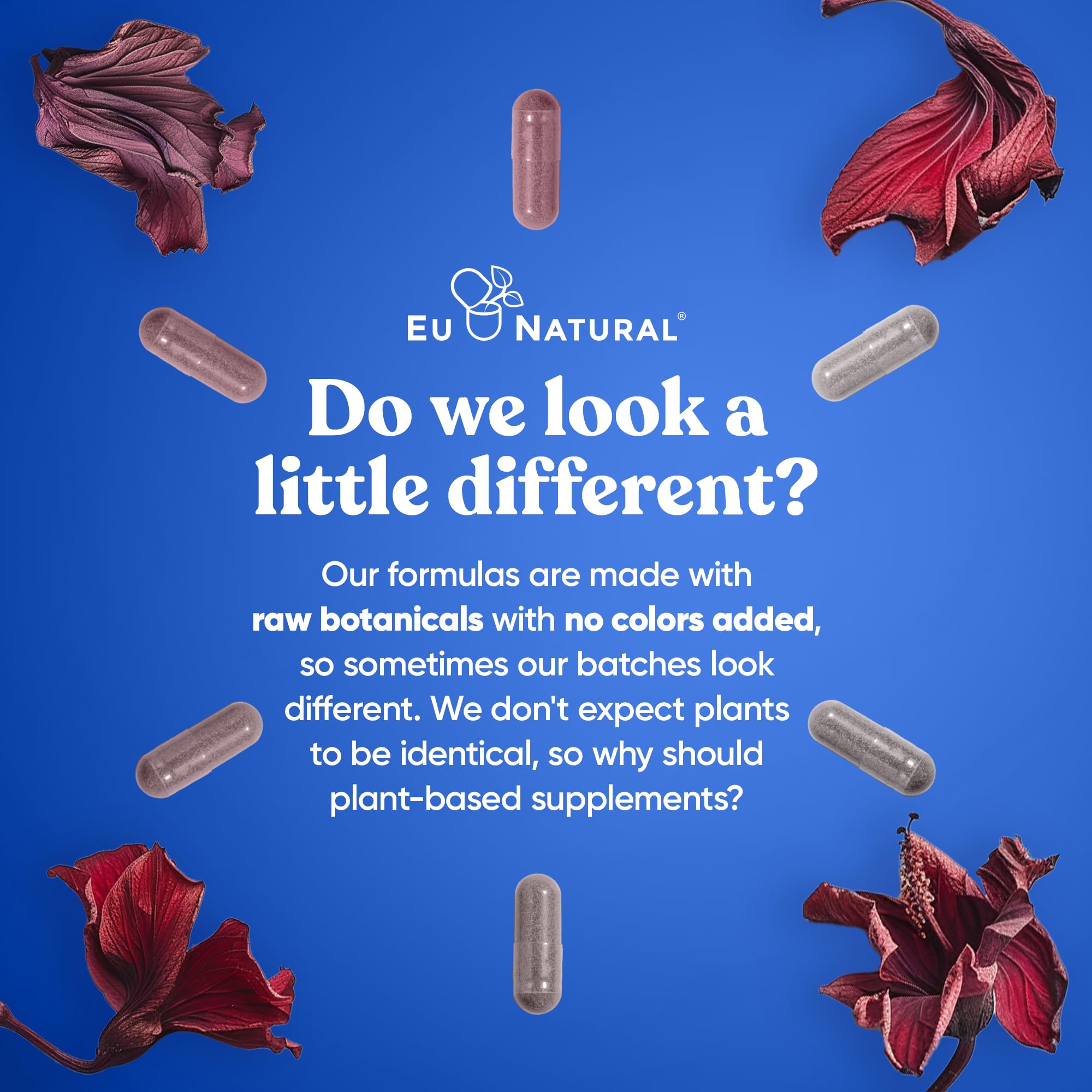 Eco-friendly packaging display highlights sustainable product presentation.