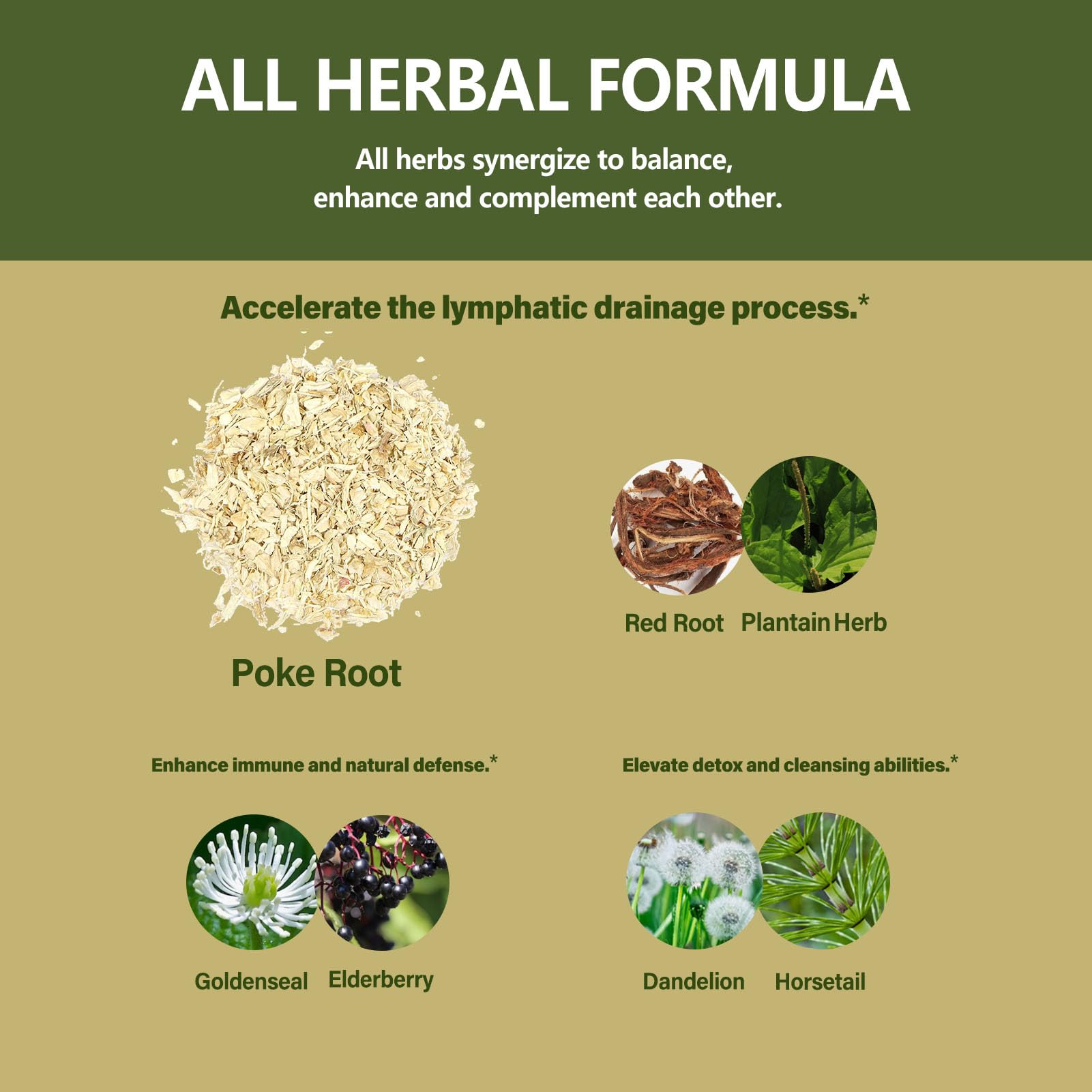 Poke root and red root ingredients support lymph flow in this tincture