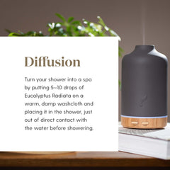 Eucalyptus Radiata diffuser ambient scene highlighting energizing atmosphere.