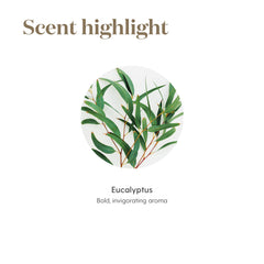 Eucalyptus Radiata massage-ready oil for soothing post-workout routines.