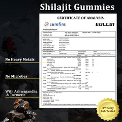 Eullsi Ashwagandha gummies bottle front for wellness routine