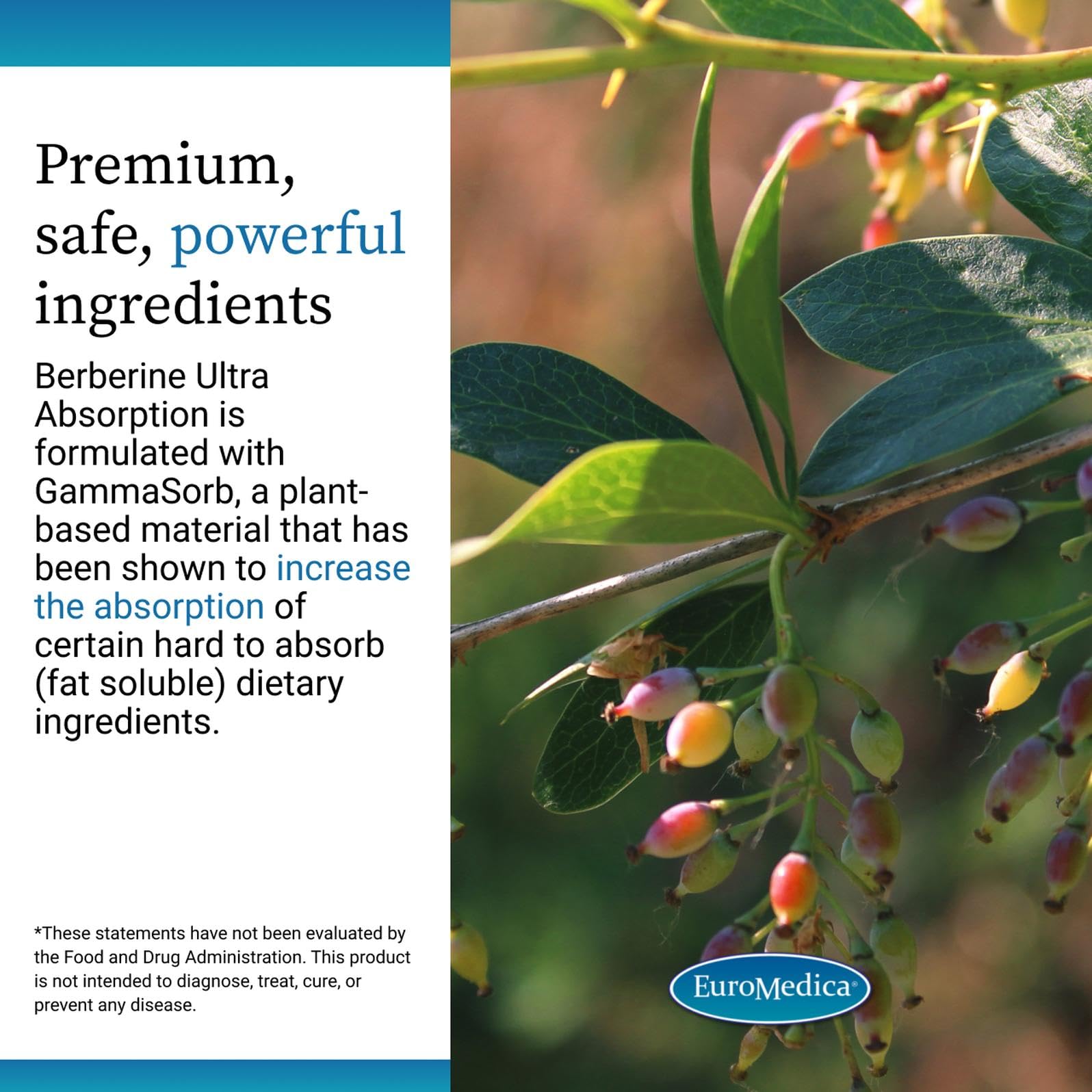 EuroMedica Allergen-Friendly Capsule Pack: clean label for allergy-conscious wellness.