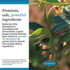EuroMedica Allergen-Friendly Capsule Pack: clean label for allergy-conscious wellness.