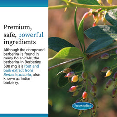 Product packaging with berberine capsules on white surface – vegan supplement.
