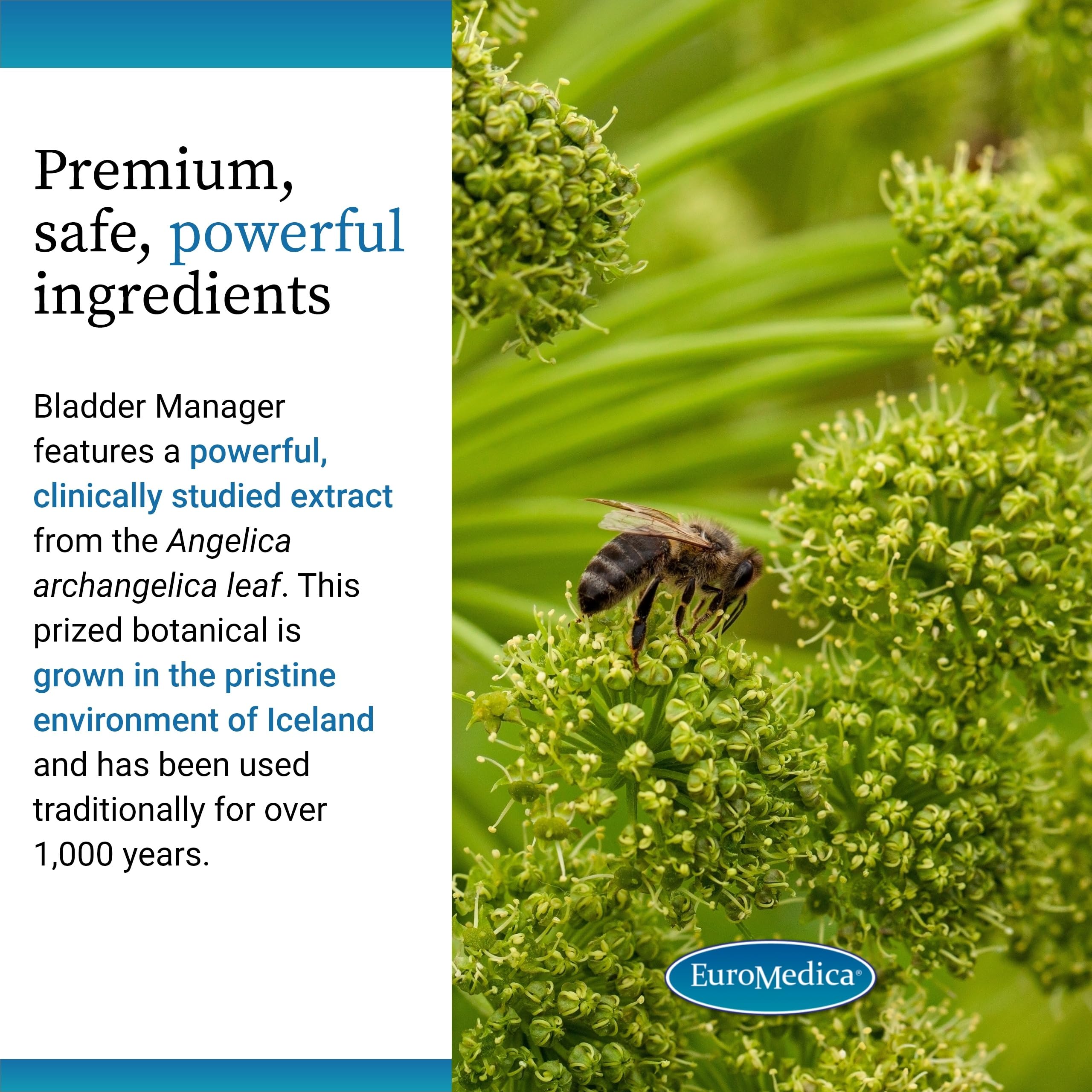 EuroMedica Bladder Manager ingredients panel emphasizes vegan, allergen-free formulation.