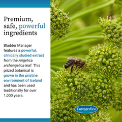EuroMedica Bladder Manager ingredients panel emphasizes vegan, allergen-free formulation.